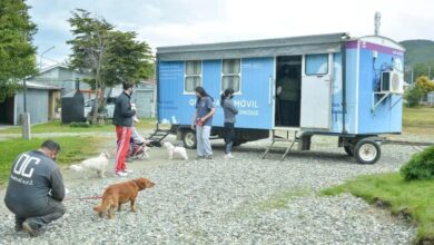 Photo of LA MUNICIPALIDAD DE USHUAIA REALIZÓ UNA NUEVA JORNADA MASIVA DE ZOONOSIS MÁS CERCA