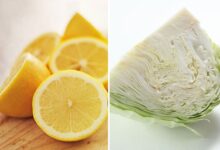 Photo of Los increíbles beneficios del jugo de repollo con limón, para qué es bueno y cómo se prepara
