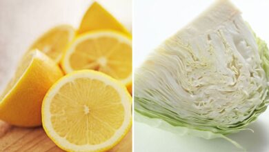 Photo of Los increíbles beneficios del jugo de repollo con limón, para qué es bueno y cómo se prepara