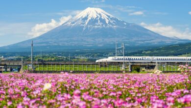 Photo of El pasajero muerto que viajó en tren durante 12 horas por 652 kilómetros sin que nadie se diera cuenta en Japón