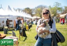 Photo of Jardín Fest 2024: Ya tiene fecha la feria de jardinería y paisajismo más importante del país