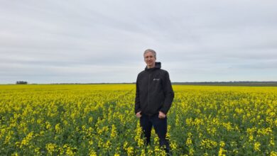 Photo of Es de italianos: maneja una empresa que produce 50.000 toneladas de granos y cuenta qué cultivo es furor