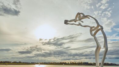 Photo of Malba Puertos, la primera reserva abierta de un museo latinoamericano, combina arte y naturaleza