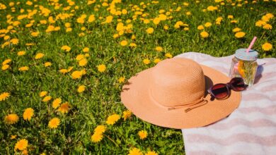 Photo of Primavera: momento para reflexionar, dejar ir y nacer para crecer personal y profesionalmente