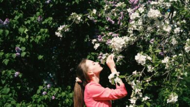 Photo of Cómo prevenir las alergias de primavera y disfrutar al aire libre