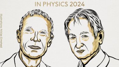 Photo of Premio Nobel de Física: John Hopfield y Geoffrey Hinton, galardonados por sus aportes a la inteligencia artificial