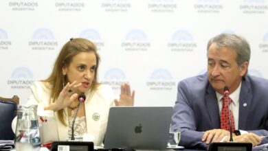 Photo of Titular de Agencia de Acceso a la Información Pública admitió que el Gobierno no la consultó por el DNU que la limita