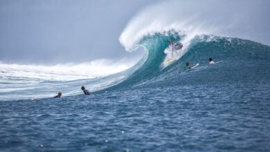 Photo of Un tiburón le arrancó un brazo a un deportista pero no le impidió cumplir sus sueños