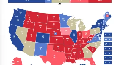 Photo of Swing states: cómo son los estados clave de la elección de Estados Unidos