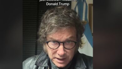 Photo of Javier Milei le dedicó un video en TikTok a Donald Trump por su victoria en Estados Unidos: “Sabemos que podemos contar con usted”