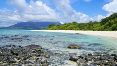 Photo of Test visual: elegí lo que llevarías a una isla desierta y conocé detalles íntimos de tu personalidad