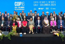 Photo of Terminó la COP16: potencias europeas no acordaron aportar a fondo de protección de biodiversidad