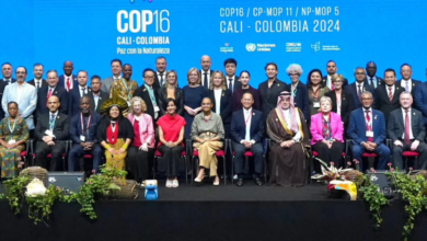 Photo of Terminó la COP16: potencias europeas no acordaron aportar a fondo de protección de biodiversidad