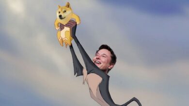 Photo of DOGE se duplica en la última semana y los indicadores anticipan un potencial de rally para la cripto favorita de Elon Musk