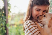 Photo of ¿Por qué tener una mascotas mejora tu salud y estado de ánimo? Los especialistas revelaron el motivo