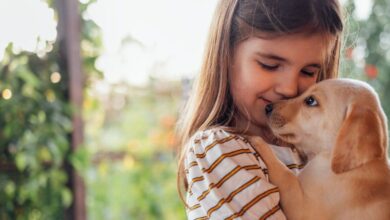 Photo of ¿Por qué tener una mascotas mejora tu salud y estado de ánimo? Los especialistas revelaron el motivo