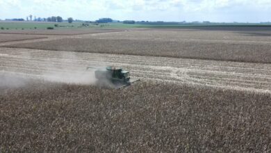 Photo of Dato impactante: por las retenciones, en Entre Ríos el agro se pierde de comprar una máquina cada tres horas