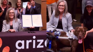 Photo of La firmó Katie Hobbs: la nueva ley que protege a los animales en Arizona con multas de hasta US$2500