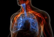 Photo of La mejor fruta para limpiar los pulmones: ayuda a eliminar toxinas y reduce la inflamación en las vías respiratorias