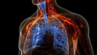 Photo of La mejor fruta para limpiar los pulmones: ayuda a eliminar toxinas y reduce la inflamación en las vías respiratorias