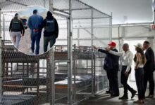 Photo of Es DACA, lo acusaron de un delito menor con su licencia y lo enviaron a la nueva Alligator Alcatraz