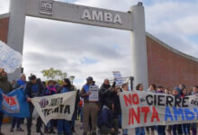 Photo of Alerta por el cierre inminente de la Estación Experimental del INTA AMBA 