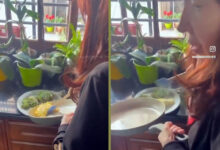 Photo of Cristina Kirchner y un plato «bueno para la pelea»