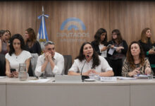 Photo of Diputados le pone límites a los discursos de odio del Gobierno