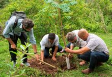 Photo of “Sembradores de futuro”: los fundadores de Bosques de la Poesía, distinguidos en España
