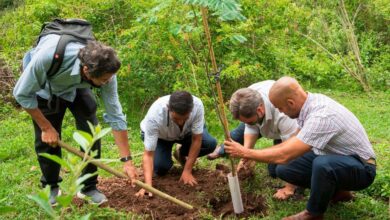 Photo of “Sembradores de futuro”: los fundadores de Bosques de la Poesía, distinguidos en España