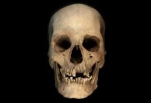 Photo of El esqueleto de hace 4500 años que puede ayudar a reescribir la historia del Antiguo Egipto