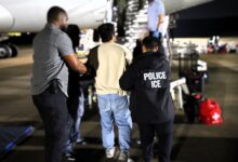 Photo of Video del ICE: así es un vuelo de deportación de migrantes por dentro