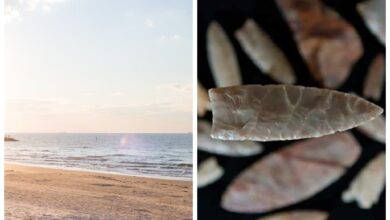 Photo of Buscaba dientes de tiburón en una playa de Texas y de casualidad encontró una reliquia de hace 12.000 años