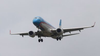 Photo of Se volvió viral por una polémica en un avión y ahora demandó a la aerolínea por no defenderla en las redes