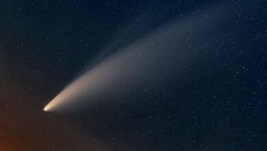 Photo of Un cometa de otro sistema solar viene hacia nosotros: la NASA reveló detalles impactantes