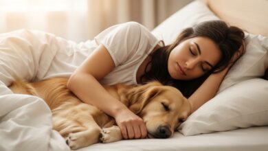 Photo of Dormir con tu perro en invierno: beneficios, riesgos y consejos para un descanso seguro