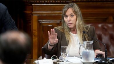 Photo of La senadora Juliana Di Tullio denunció a «trolls libertarios» por incitación a la violencia