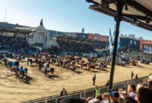 Photo of Comienza Expo Rural 2025: la gran vidriera de los negocios del campo proyecta operaciones récord