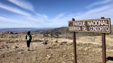 Photo of Naturaleza en su máxima expresión: el parque nacional de Córdoba que no te podés perder