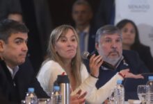 Photo of El Senado apura la sanción de la Emergencia en Discapacidad y los proyectos previsionales