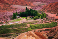 Photo of A los pies de la Cordillera: el pueblo de Mendoza que es perfecto para disfrutar de la naturaleza en invierno