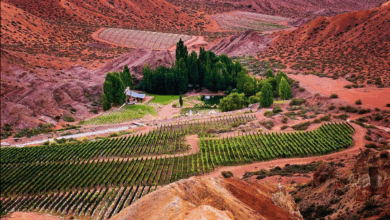 Photo of A los pies de la Cordillera: el pueblo de Mendoza que es perfecto para disfrutar de la naturaleza en invierno