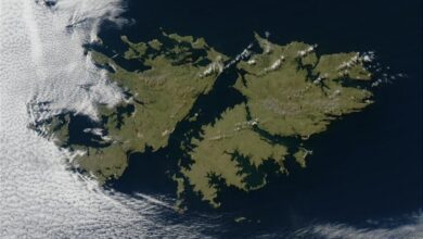 Photo of Reino Unido invita a estudiantes argentinos a visitar las Islas Malvinas como turistas