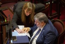 Photo of Senado | El kirchnerismo debió ceder y pasa al martes el tratamiento en comisión del financiamiento para el Garrahan y las universidades