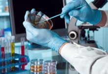 Photo of La biotecnología argentina requiere una urgente reforma en propiedad intelectual