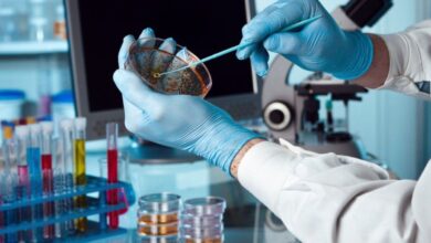 Photo of La biotecnología argentina requiere una urgente reforma en propiedad intelectual