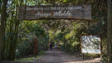 Photo of El pueblo a 1 hora de Buenos Aires con una reserva natural reconocida por la Unesco, arboledas y más de 280 especies de aves