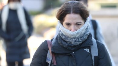 Photo of Pronóstico del tiempo: cuándo será el día más frío de la semana, según el SMN