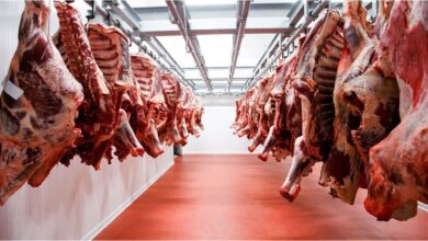 Photo of El precio de exportación de la carne alcanzó en el primer trimestre un récord histórico
