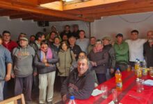 Photo of Con apoyo del Municipio, se consolida la producción porcina local